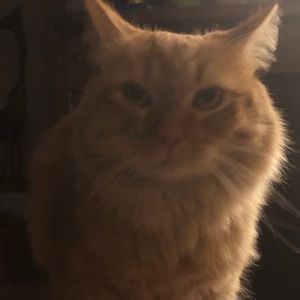 Meet your Posher, Ali